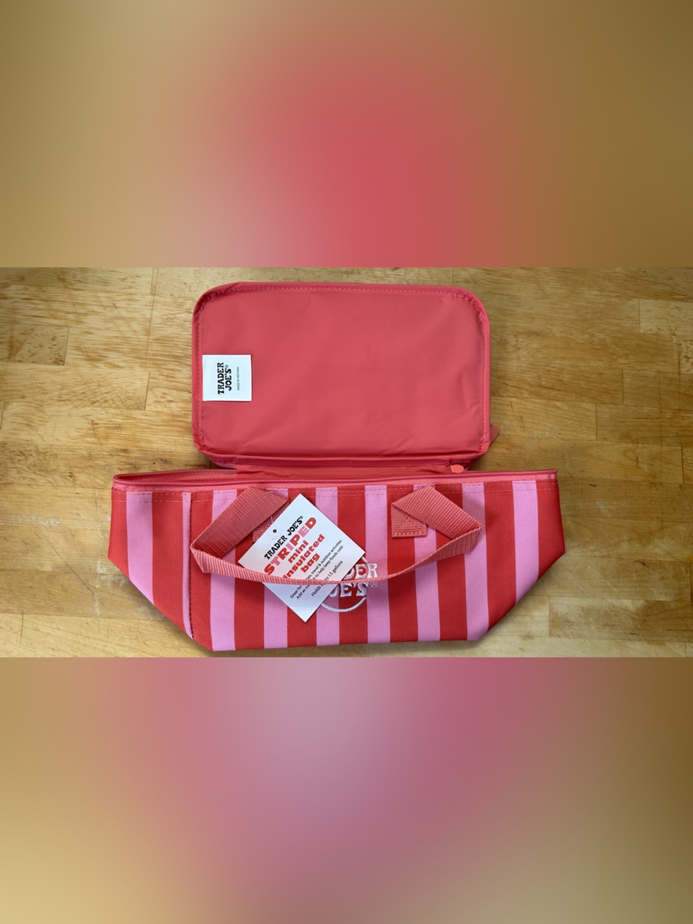 NWT STRIPED MINI COOLER BAG FROM TRADER JOE’S!